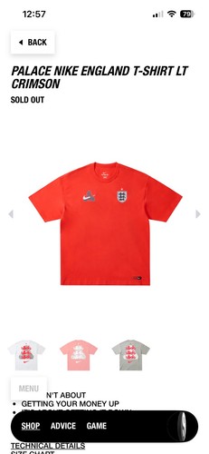 Shirt palace nike - palace,