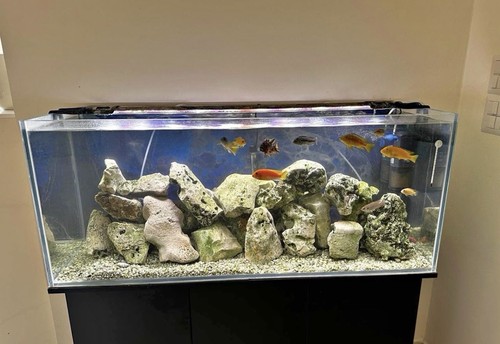 Vendo acquario 240 litri - vendo,