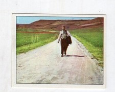 figurina - PANINI PINOCCHIO