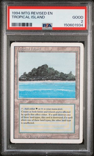 Mtg 1994 edizione riveduta - edizione,