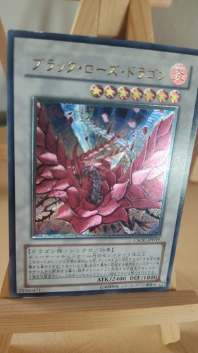 Black rose dragon - rose, rosa