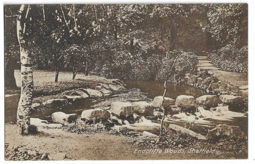 Vintage postcard endcliffe - vintage,