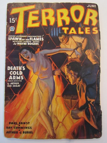 Terror tales pulp 2 - v., #2