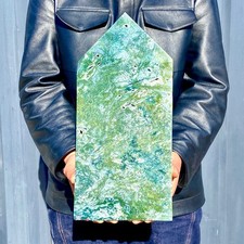 Pianta acquatica geode