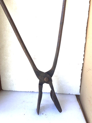 Antica pinza per - antica,