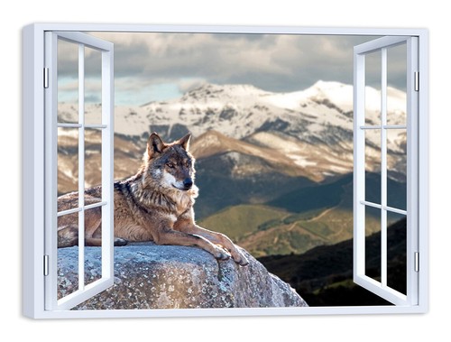 Quadro stampa tela con - tela,