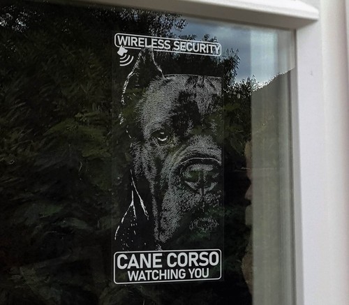 Adesivo cane corso sicurezza - cane,