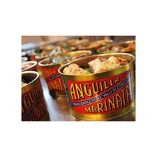 ANGUILLA MARINATA