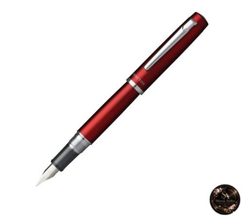 Penna stilografica pennino