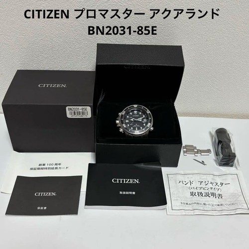 Orologio citizen bn2031 85e - orologio, bn2031-85e