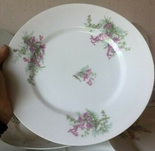 Antico servizio 12 piatti