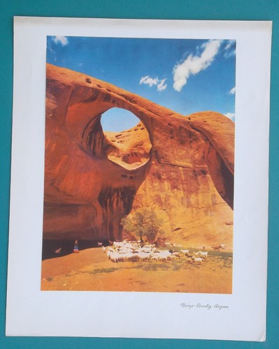 Arco mocassino arizona - arco,