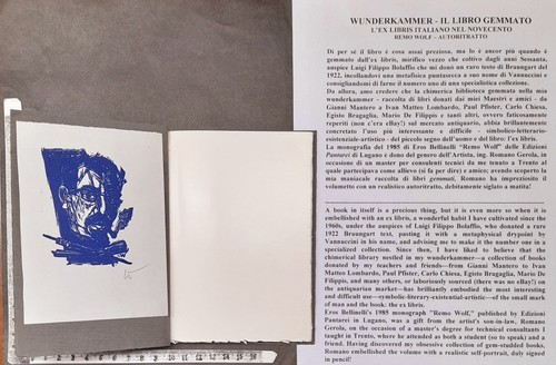 Wunderkammer libro exlibris - wunderkammer, gr