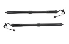 Coppia di Pistoni Elettrici