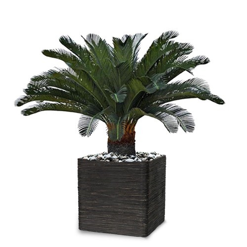 Palmier cycas artificiel sur - artificiel,