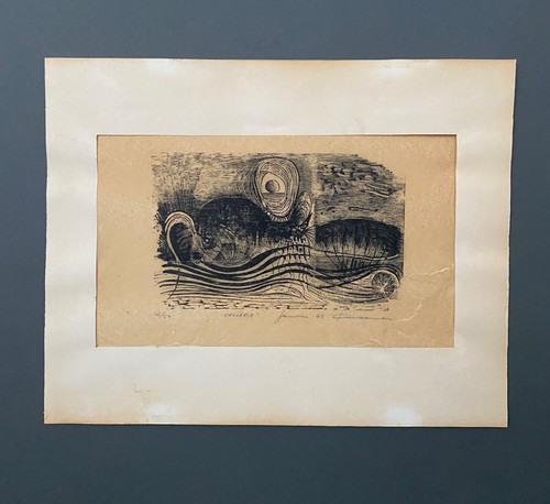 Lithographie vallerie janv - vallerie,