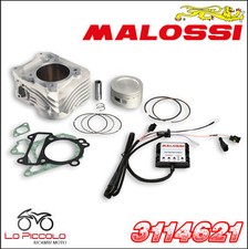 3114621 MALOSSI GRUPPO TERMICO