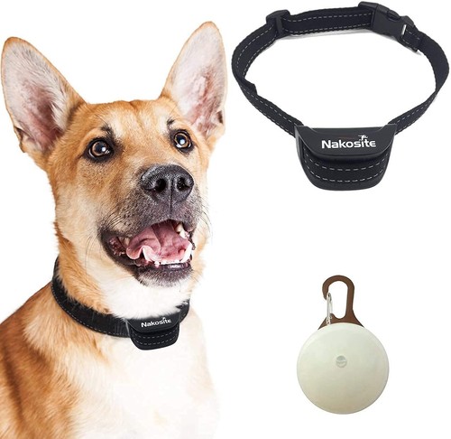 Pet2433 miglior collare per - pet2433,