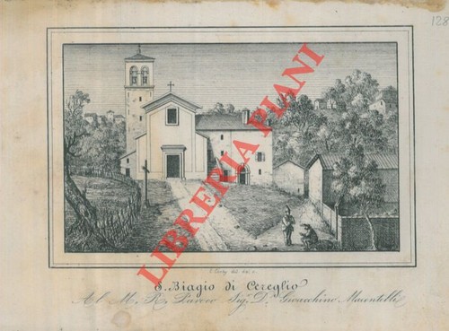 Bologna vergato corty s - vergato,