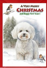 Biglietto di Natale Bichon