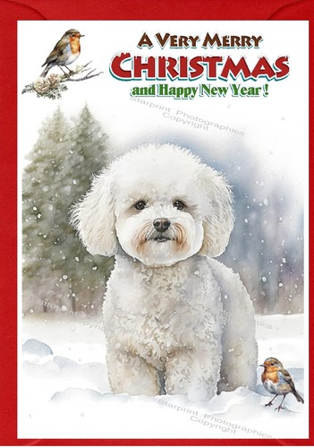 Biglietto natale bichon - biglietto, di