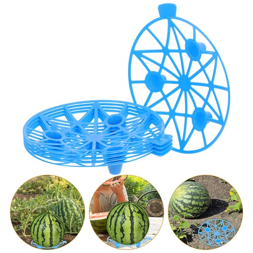 Culle melone pezzi - ,