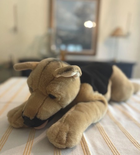 Peluche cane preferito vintage