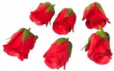 6 teste di fiori rosa rossa