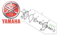 GUARNIZIONE MECCANICA POMPA