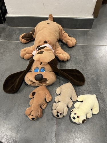 Amici cercafamiglia puppy - amici,