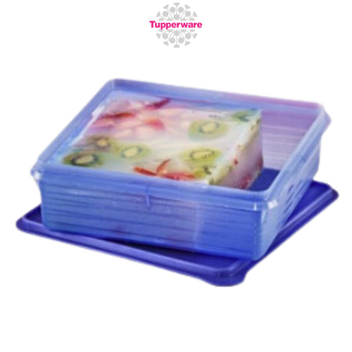 Tupperware b2b snack storage - b2b,