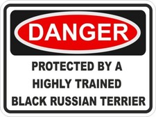 Nero Russo Terrier Cane Danger