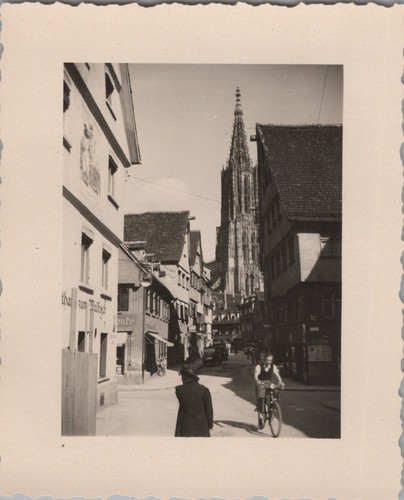 Foto vista della cattedrale - vista,