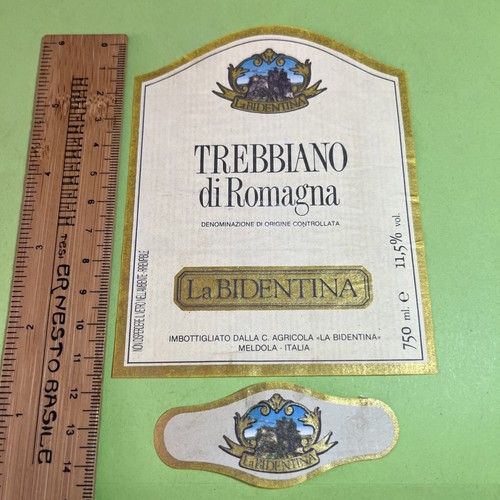 Trebbiano romagna la - trebbiano, di