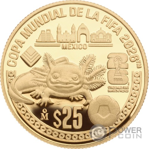 Fifa world cup axolotl - fifa,