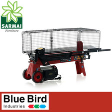 BLUE BIRD SPACCALEGNA