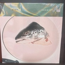 Corpo Analogico Aaamyy Record