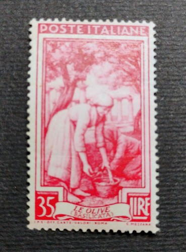 Francobollo repubblica 1950 - francobollo,