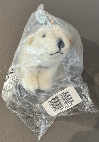 Orso polare arco - orso,