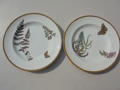 Coppia piatti antichi - , wedgwood