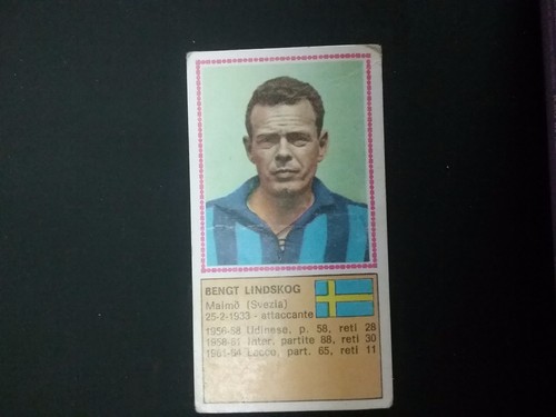 Album panini calciatori - album,