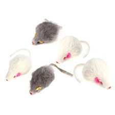  5 Pcs Cat Teaser Toys Topi