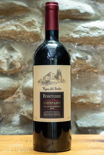 Vigna del sorbo - sorbo, 2019