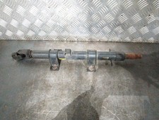 CANNA DELLO STERZO (PIANTONE)