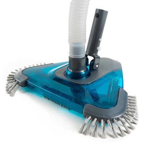 Xtremepowerus testina - xtremepowerus,
