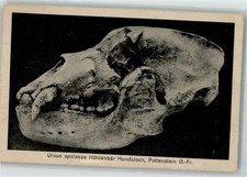 10709456 - 8573 Pottenstein