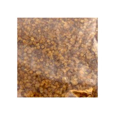 COLLA A PERLINE P/RESTAURO 25 KG