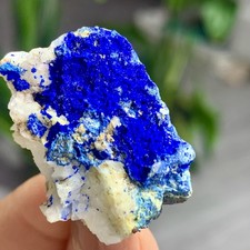 14G MIGLIORI esemplari di