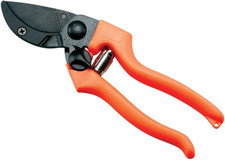 Forbice Vigna Professionale