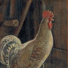 Dipinto Olio Gallo Ruspante Pollaio cm. 20 x 30